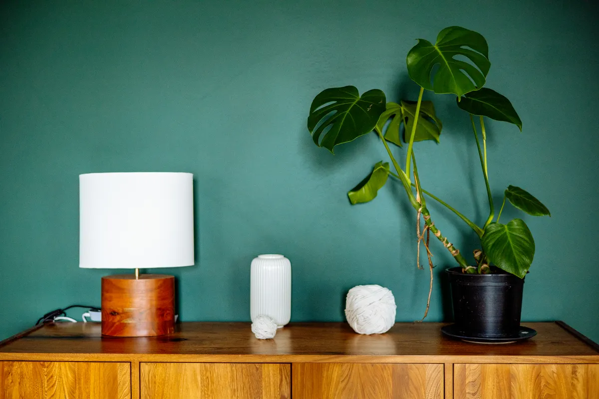Houten dressoir met lamp en monstera voor een donkergroen geverfde wand